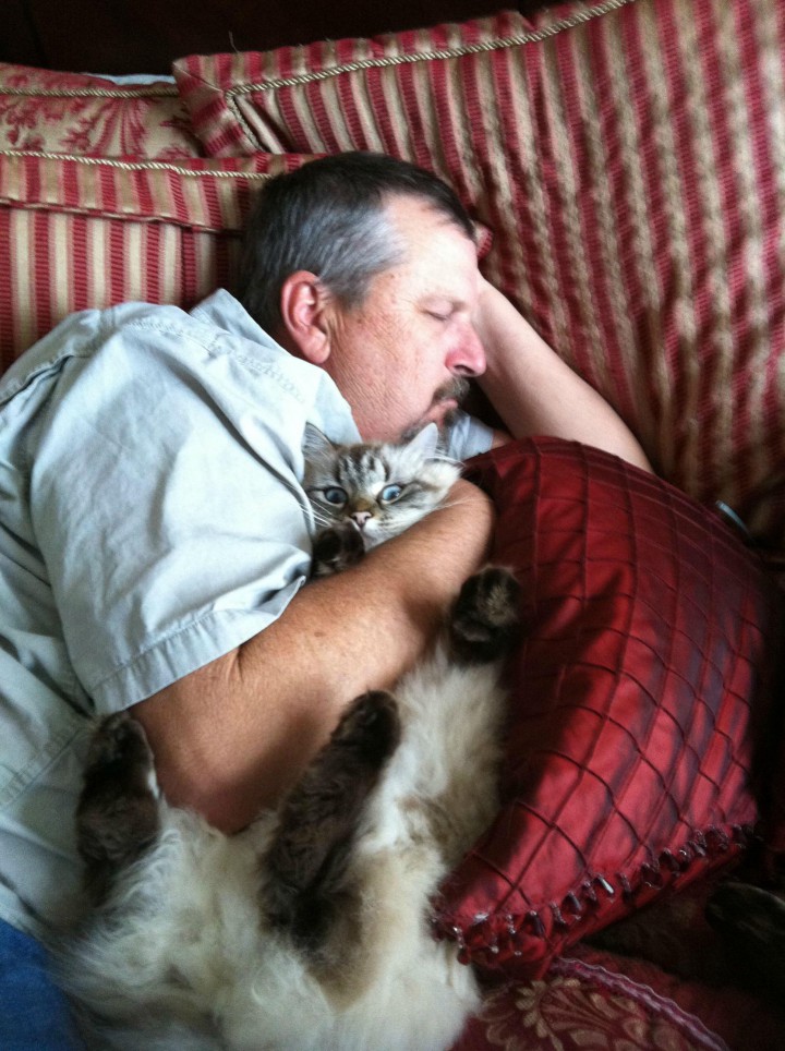 papa-dort-avec-le-chat-720x964
