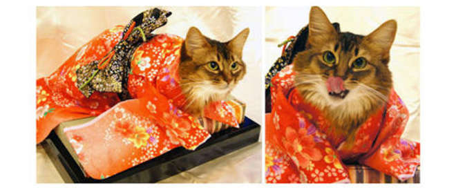 kimono-11-L.jpg