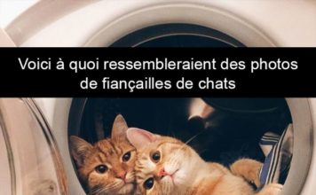 quelle est la différence entre une pizza et une prostituée