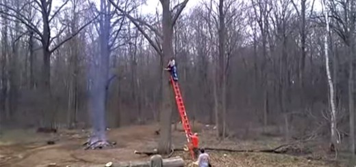 Fail : Couper une branche d’arbre…