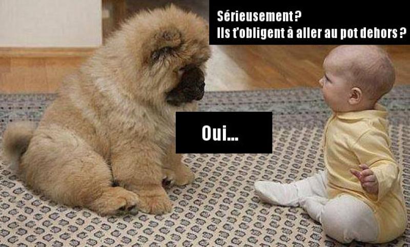 Ce gentil bébé dispute un chien…