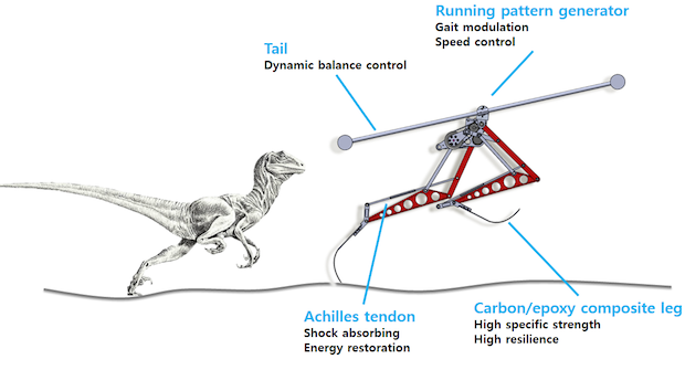 KAIST Raptor : Le robot qui court à 46km/h