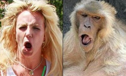 Les stars et leurs sosies dans l’histoire…