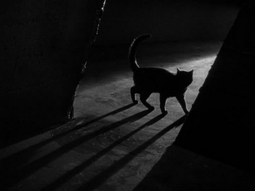 Le Chat Noir du Cinéma