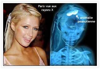 Paris Hilton et sa petite licorne…. La honte !!