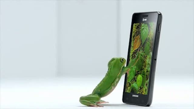 FrogTV !