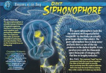 Giant_Siphonophore