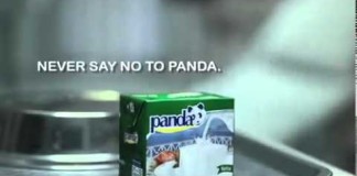 Ne dites pas non au panda !