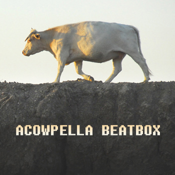 Des pochettes de vinyle prennent vie dans un clip