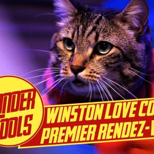 WonderFools : Winston love coach – Le premier rendez-vous !