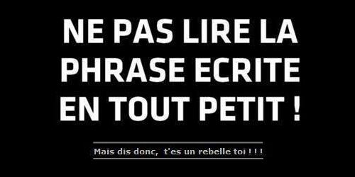 Vidéo WTF : Déplacer une voiture avec un élévateur
