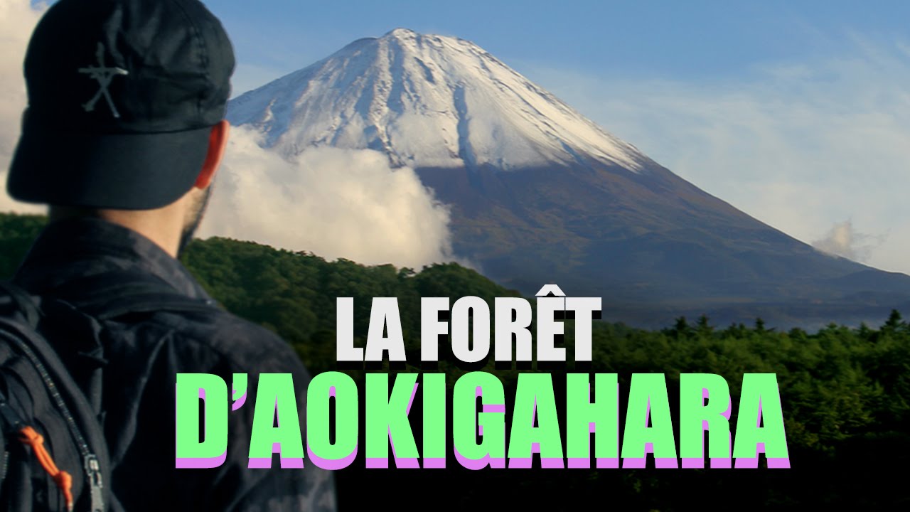 Les etranges experiences – la foret d’aokigahara (suicide forest)