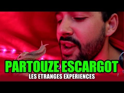 Les étranges expériences : Partouze escargot
