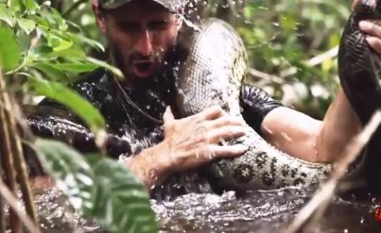 Paul Rosolie n’a pas réussi à être mangé vivant par un anaconda