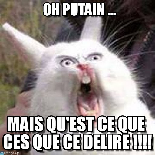 Un passage à niveau qui ne sert à rien