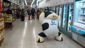 Superbe chorégraphie d’une mascotte vache