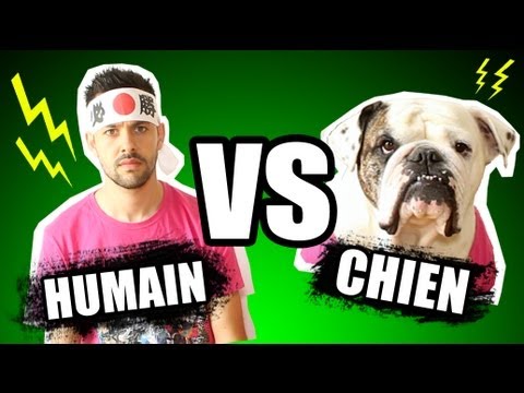 Les étranges expériences : Humain vs Chien