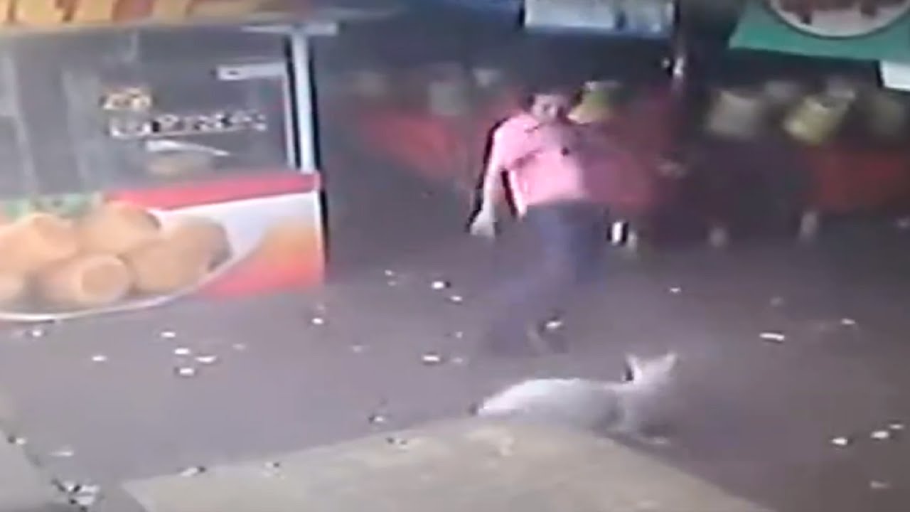 Instant Karma, shooter dans un chien, ce n’est pas bien !