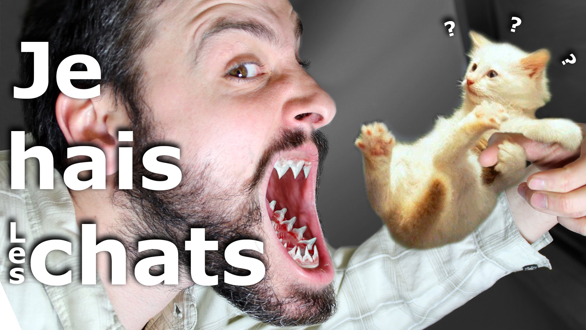 Minute Papillon #72 Je hais les chats