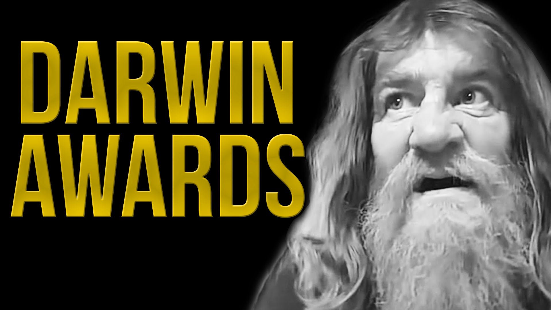 Stupide Fails Compilation (FailArmy’s Darwin Awards)