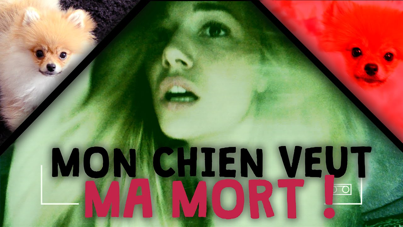Andy : Mon chien veut ma mort !