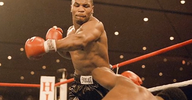 Un maximum de testostérone avec ces compilations vidéos de boxe