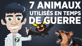 7 animaux utilisés en temps de guerre