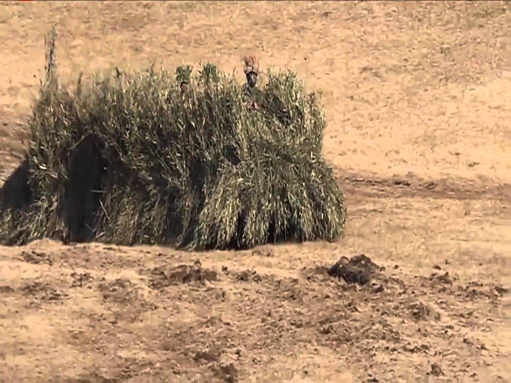 Découvrez la nouvelle invention de l’armée Japonaise…