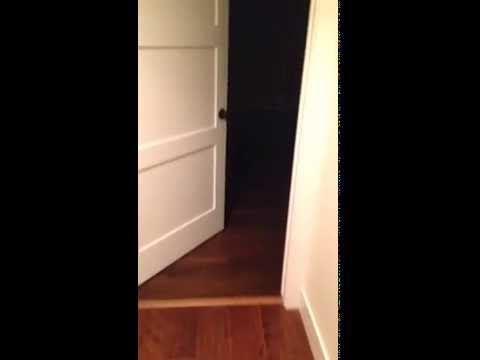 Que fait un chien seul dans le noir et dans votre chambre…