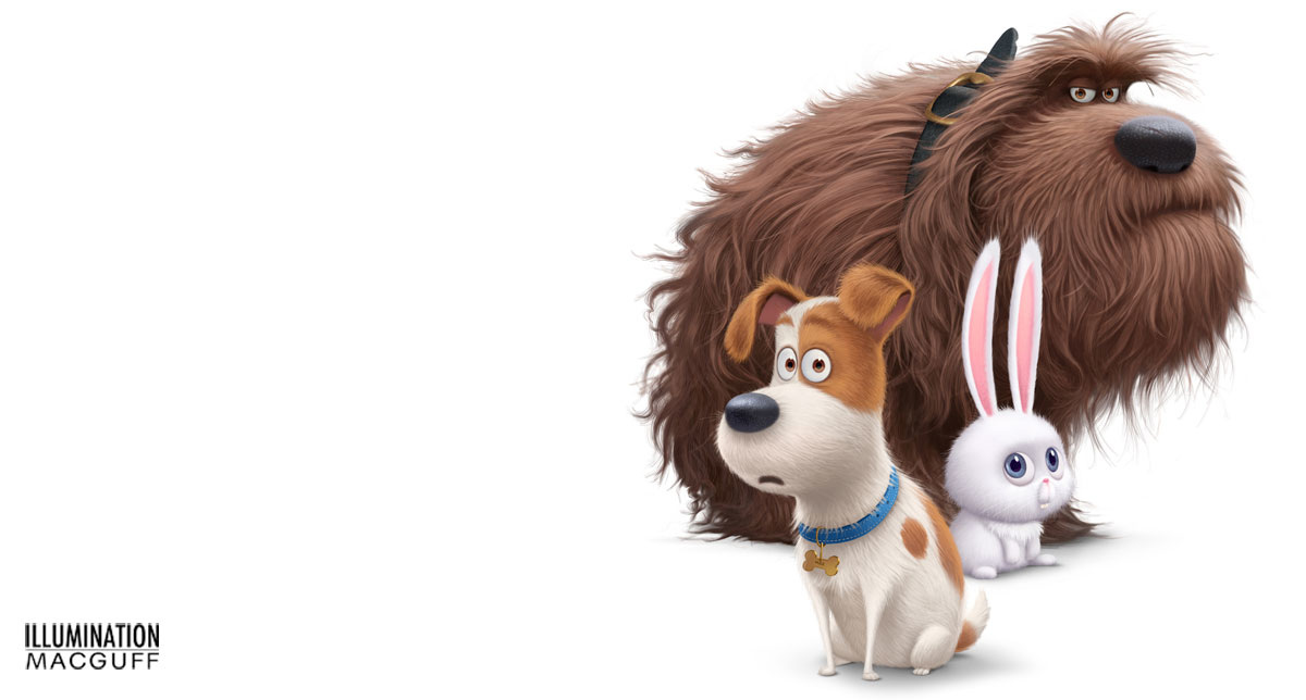 Teaser : The Secret Life Of Pets, par les créateurs des Minions…