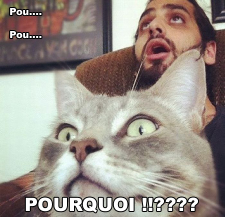 Dicton du jour ! Regarde ou tu mets ton cul !!