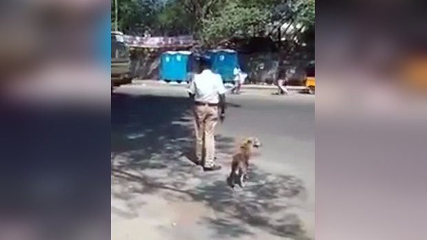 Un policier en Inde aide un chien à traverser la route
