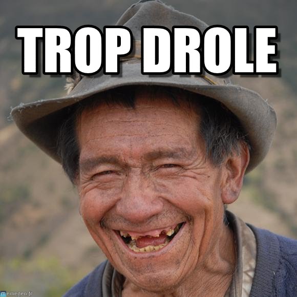 La meilleure blague de l’année est réalisée avec une simple échelle !!!