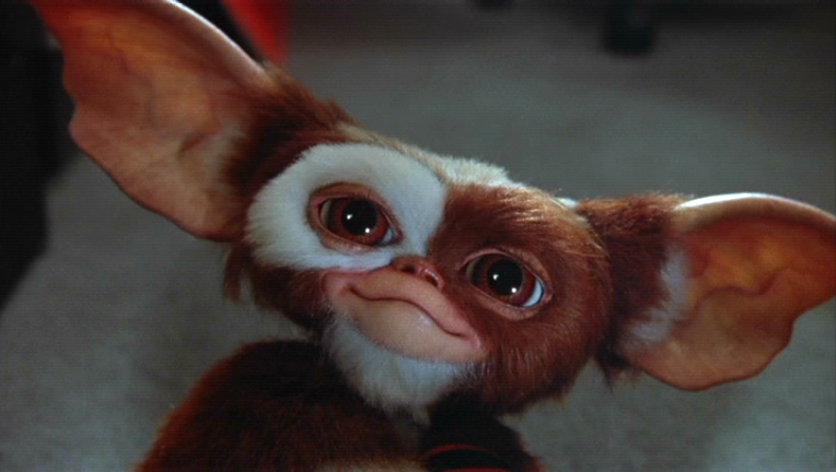 Faux Raccord N°06 Les Gremlins