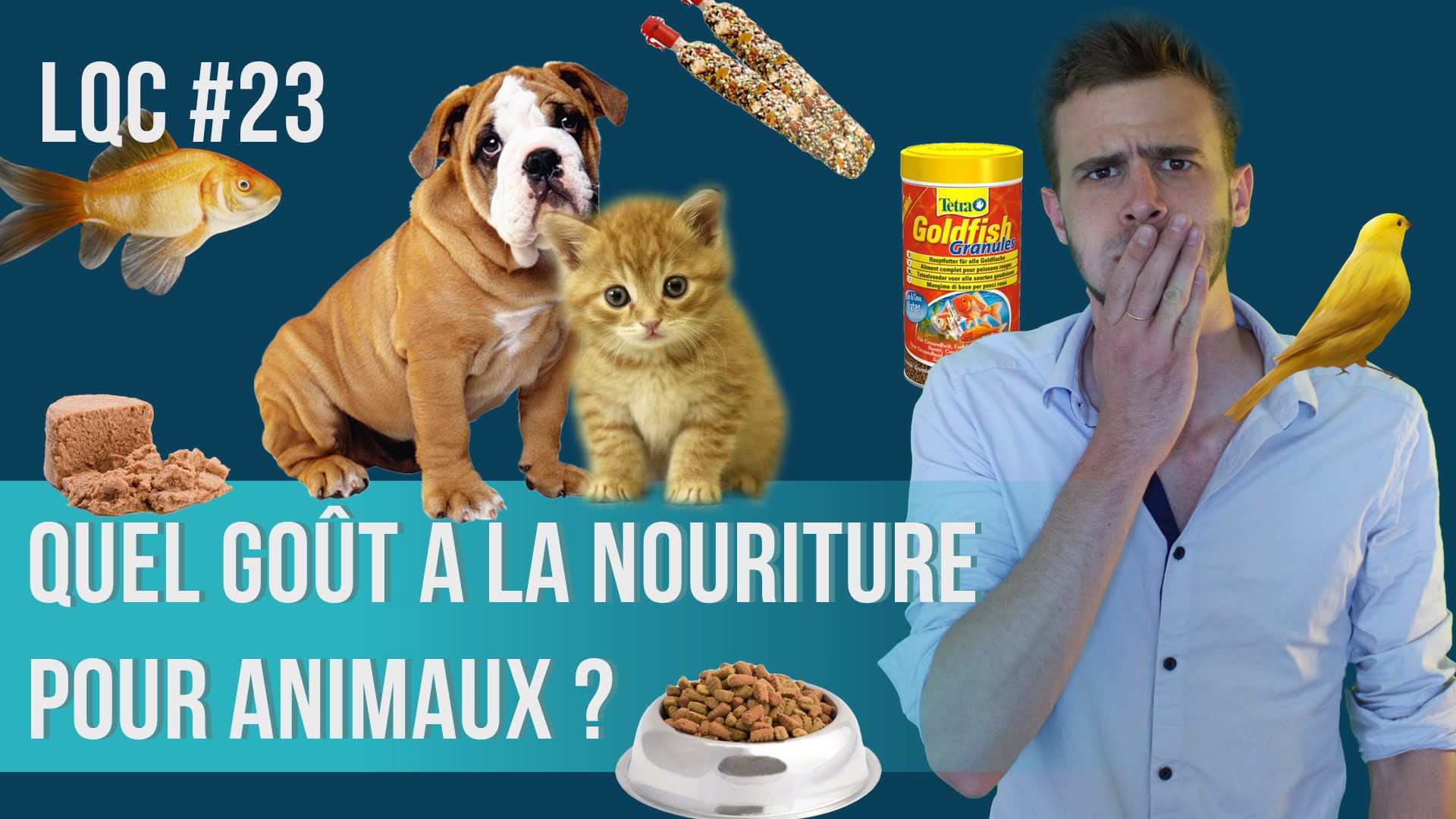 Quel est le goût de la nourriture pour animaux ? LQC #23