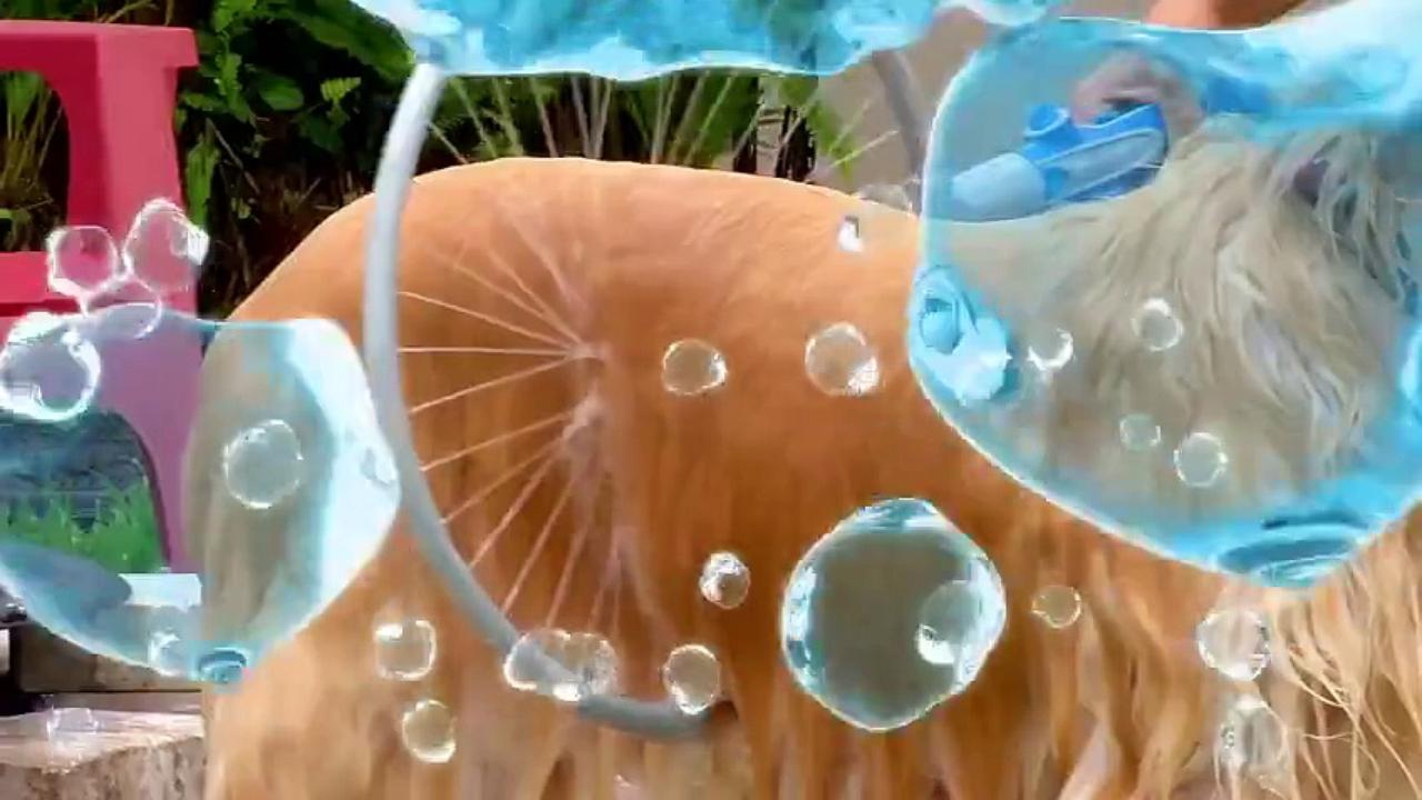 Le Woof Washer 360, un machin génial pour laver votre chien…