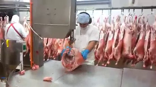 Le boucher le plus rapide du monde, nous réalise une démonstration…