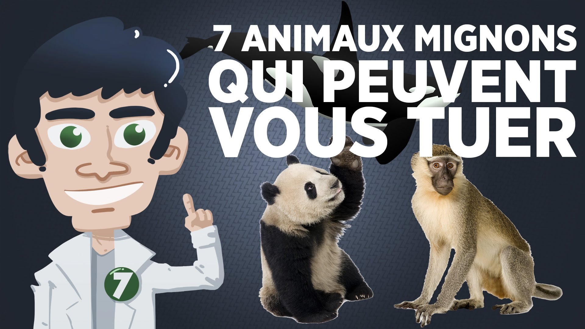 7 animaux mignons qui peuvent vous tuer