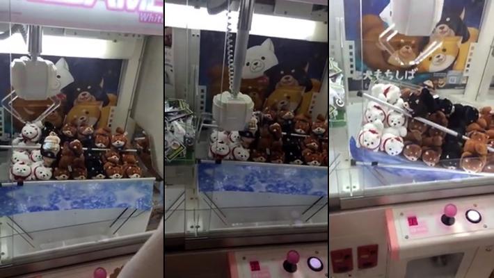 Bingo !!!! 5 peluches dans une machine à pince…