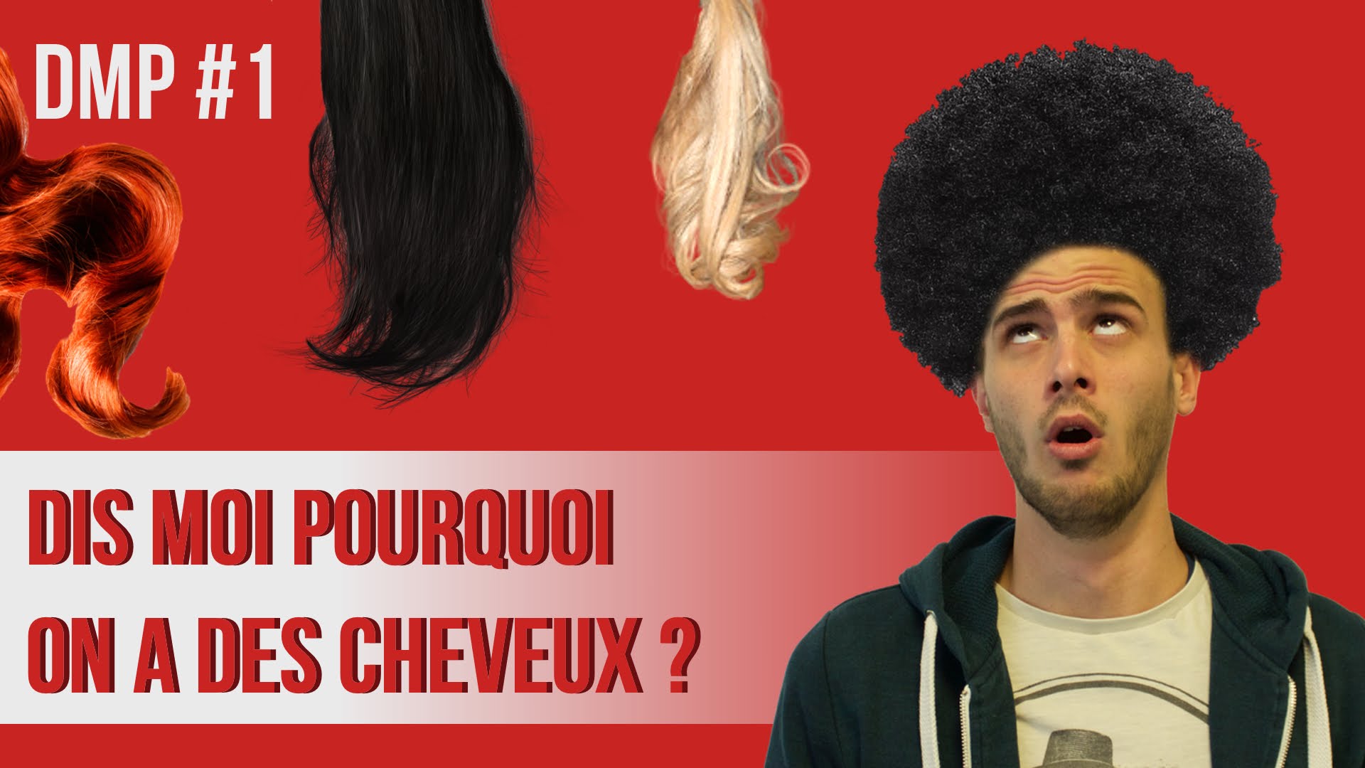 Dis moi pourquoi les cheveux ? DMP#1