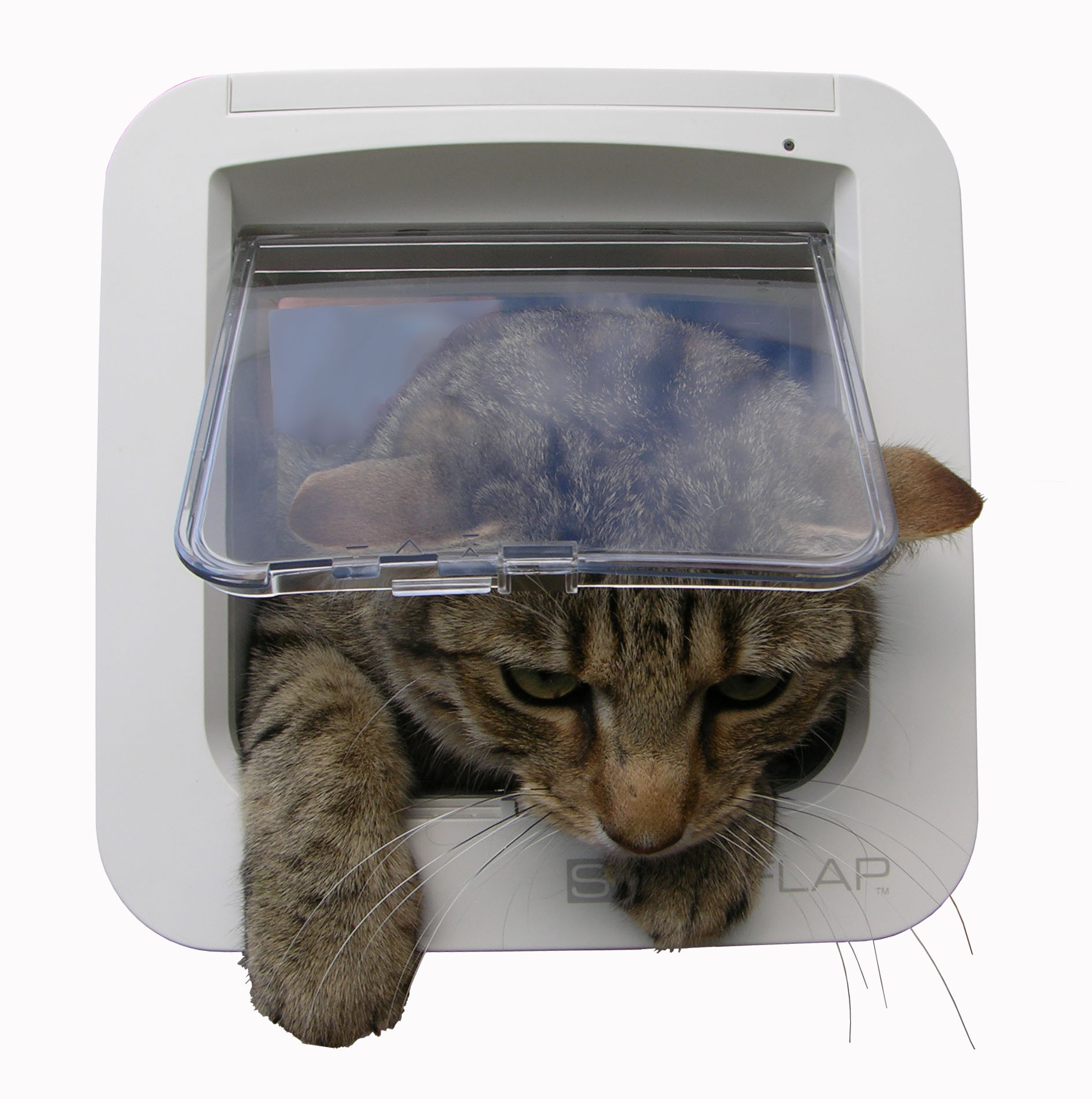 C’est l’histoire d’un chat et d’une chatière toute neuve…