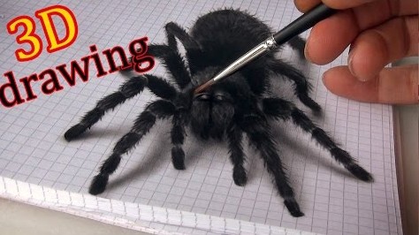 Illusion d’optique, d’une peinture d’araignée en 3D