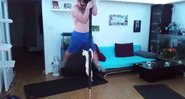 Un chat fait du pole dance avec son maître…