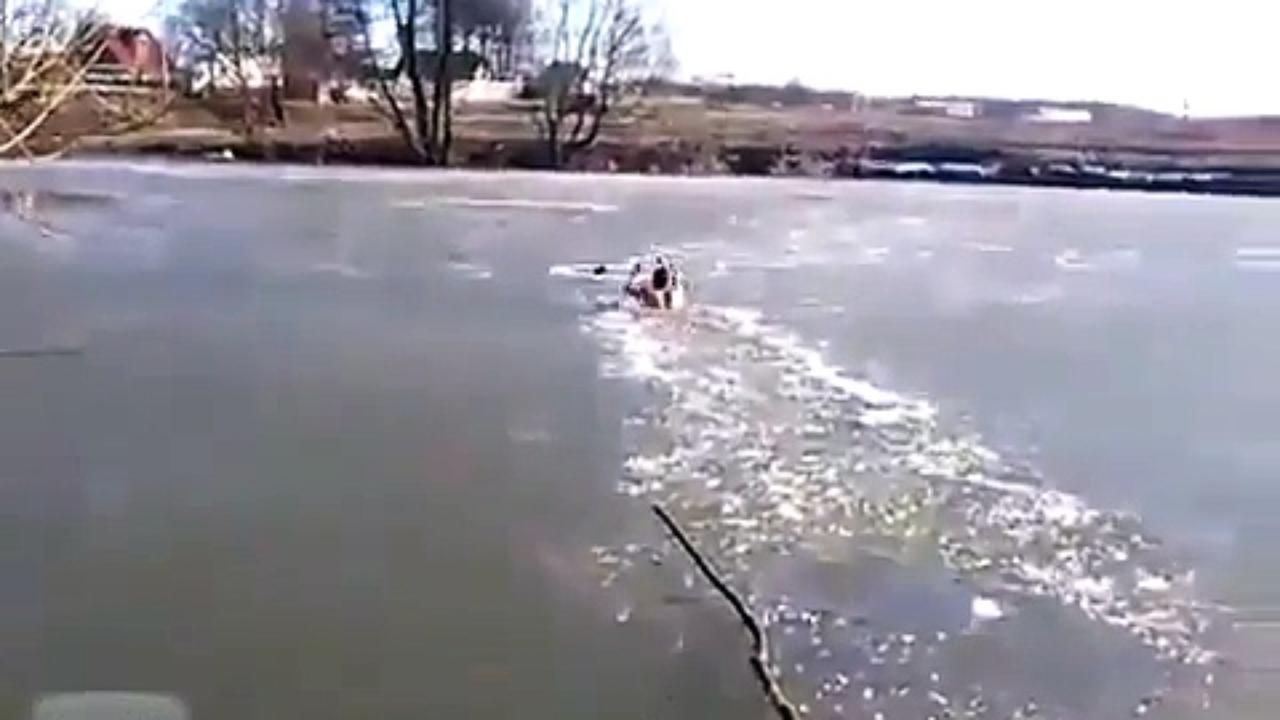 Un chasseur sauve son chien bloqué dans un lac gelé