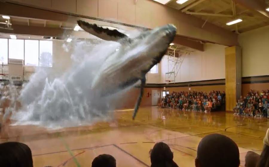 L’hologramme d’une baleine dans un gymnase