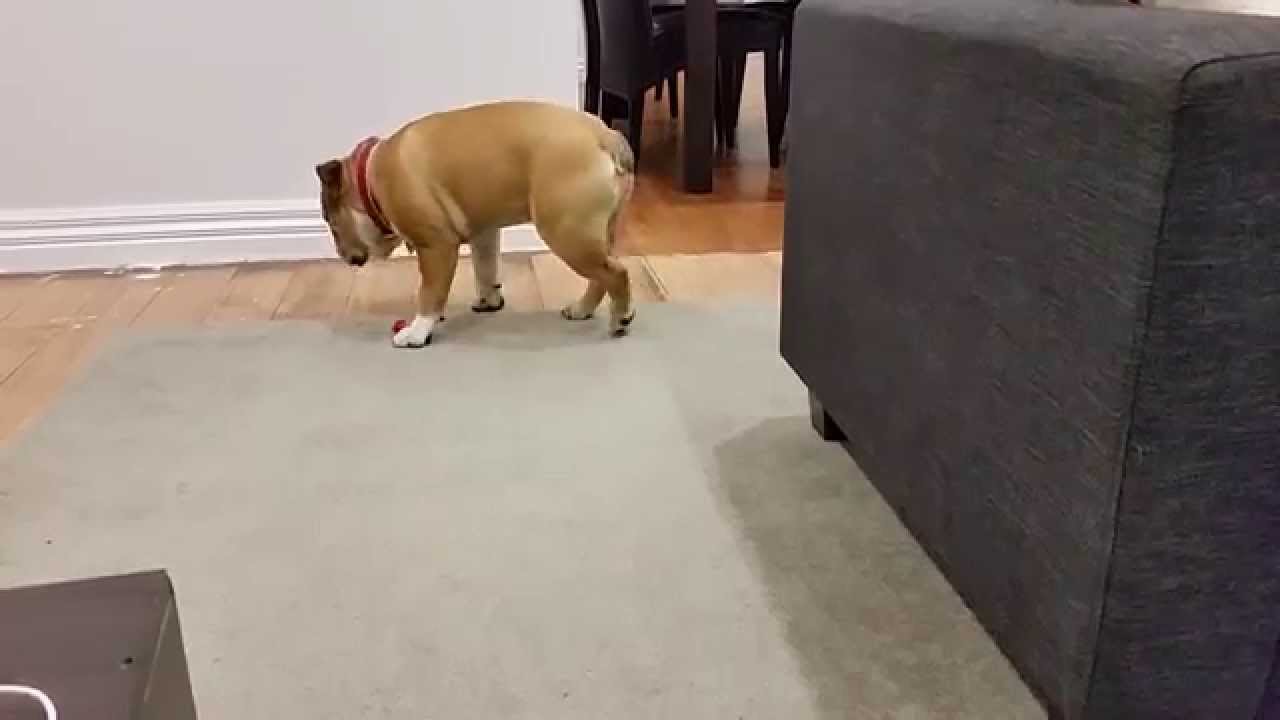 Vous connaissez l&rsquo;expression s&rsquo;endormir debout ?