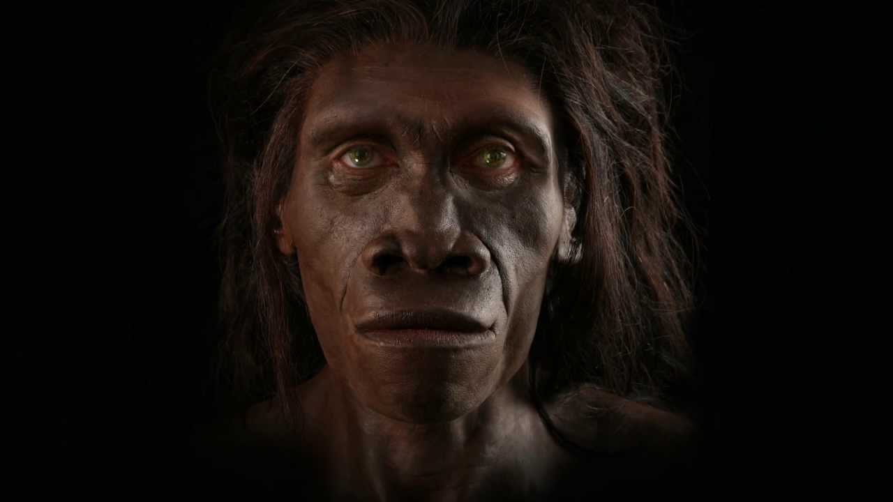 L&rsquo;évolution de l&rsquo;espèce humaine en une minute…