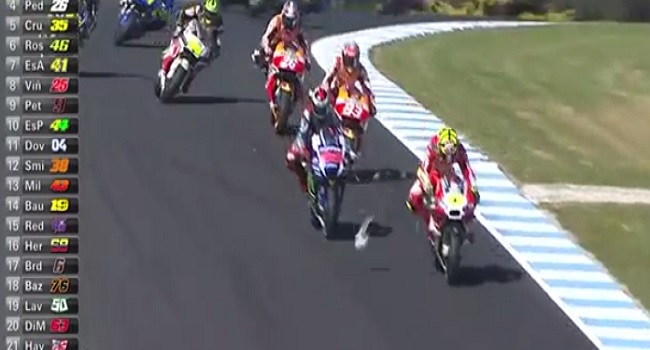 La courte vie d&rsquo;une mouette lors d&rsquo;une course de MotoGP