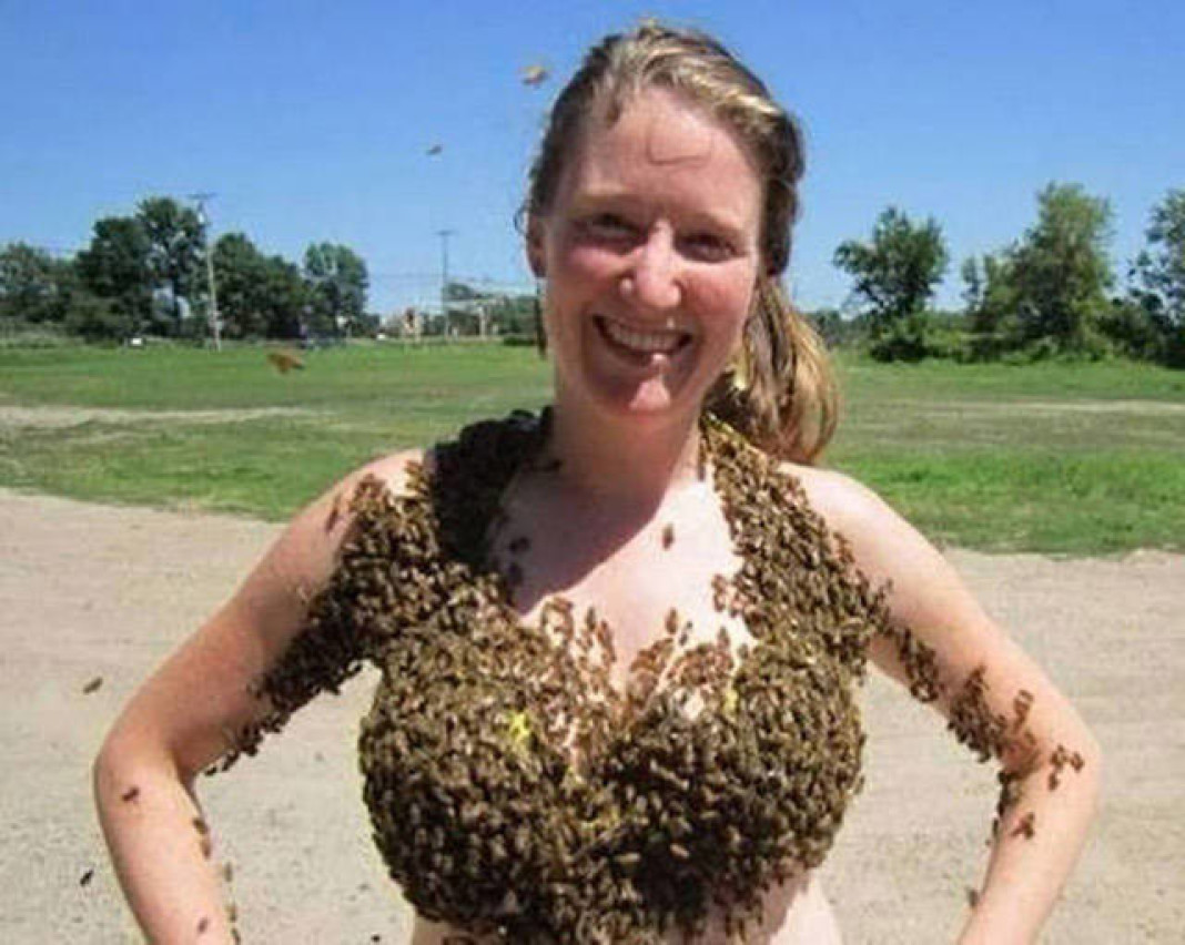 Boobs Bee