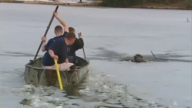 Des héros sauvent un chien en train de se noyer dans un lac gelé